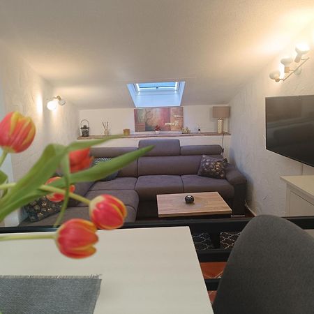 Adria Pearl Appartments Врсар Экстерьер фото